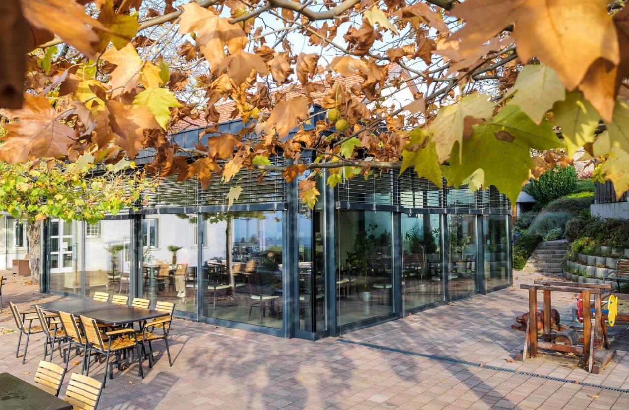 Zenit Wellness Hotel Balaton Vonyarcvashegy Exterior foto